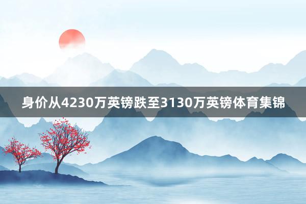 身价从4230万英镑跌至3130万英镑体育集锦