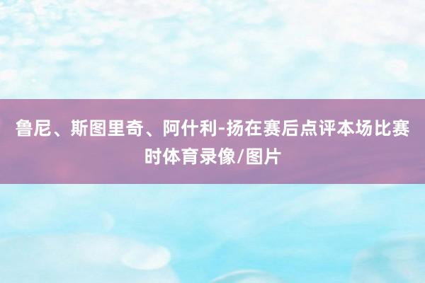 鲁尼、斯图里奇、阿什利-扬在赛后点评本场比赛时体育录像/图片