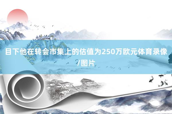 目下他在转会市集上的估值为250万欧元体育录像/图片