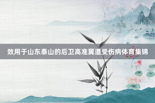效用于山东泰山的后卫高准翼遭受伤病体育集锦