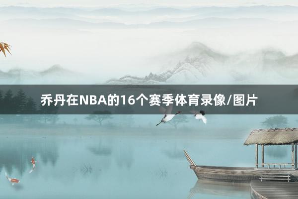 乔丹在NBA的16个赛季体育录像/图片