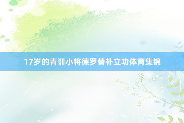 17岁的青训小将德罗替补立功体育集锦