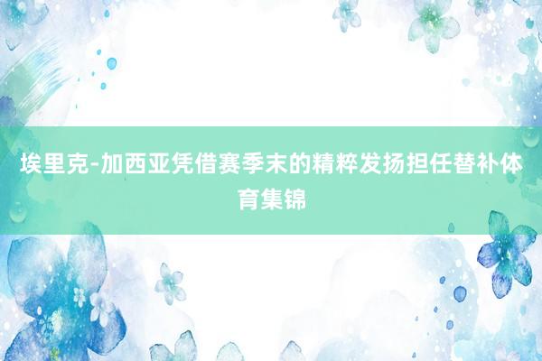 埃里克-加西亚凭借赛季末的精粹发扬担任替补体育集锦