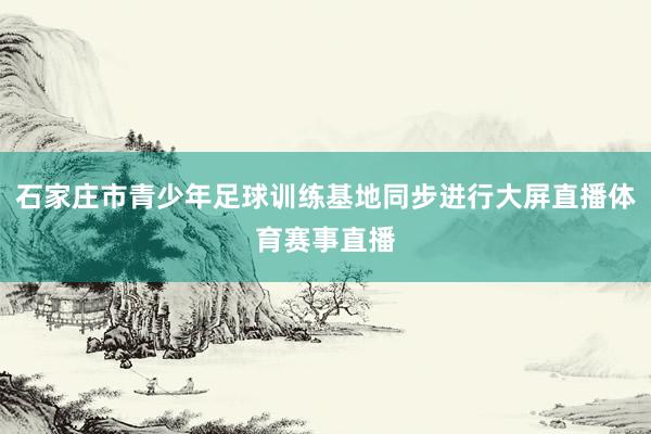 石家庄市青少年足球训练基地同步进行大屏直播体育赛事直播