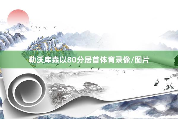 勒沃库森以80分居首体育录像/图片