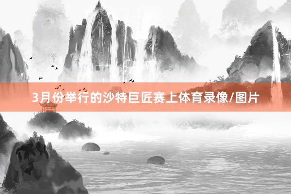 3月份举行的沙特巨匠赛上体育录像/图片