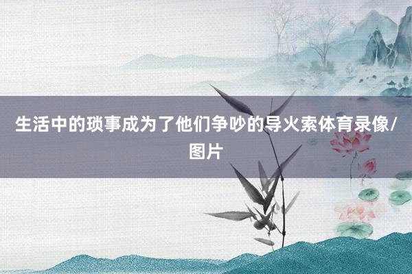 生活中的琐事成为了他们争吵的导火索体育录像/图片