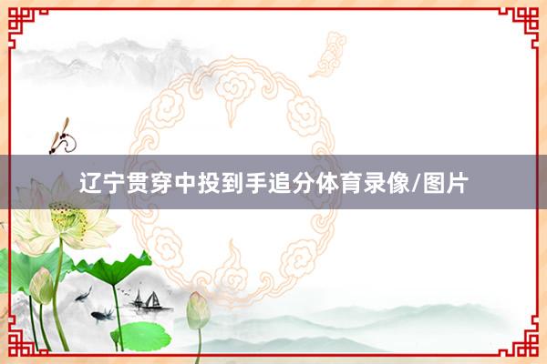 辽宁贯穿中投到手追分体育录像/图片