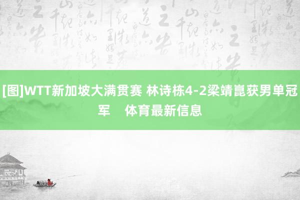 [图]WTT新加坡大满贯赛 林诗栋4-2梁靖崑获男单冠军    体育最新信息