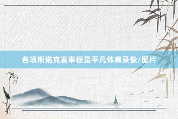 各项斯诺克赛事很是平凡体育录像/图片