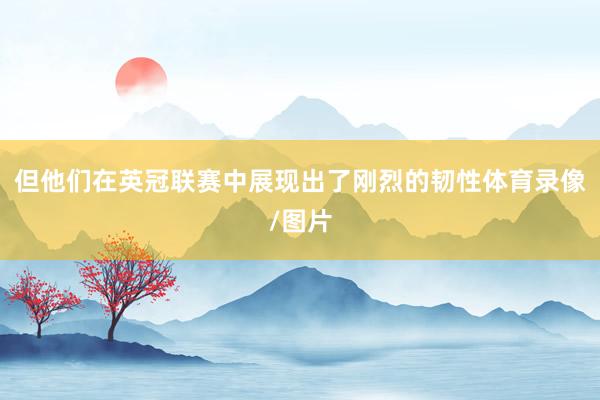 但他们在英冠联赛中展现出了刚烈的韧性体育录像/图片