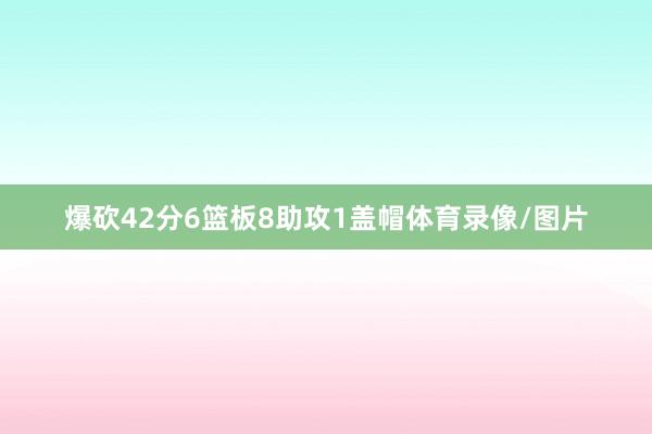 爆砍42分6篮板8助攻1盖帽体育录像/图片