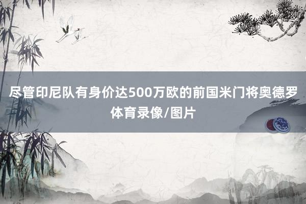 尽管印尼队有身价达500万欧的前国米门将奥德罗体育录像/图片